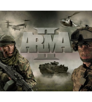 Arma II Steam Key GLOBAL